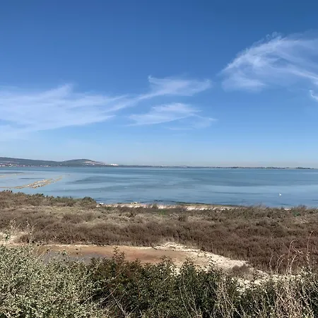 Maison De Frontignan