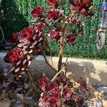 Ferienhaus Maison De