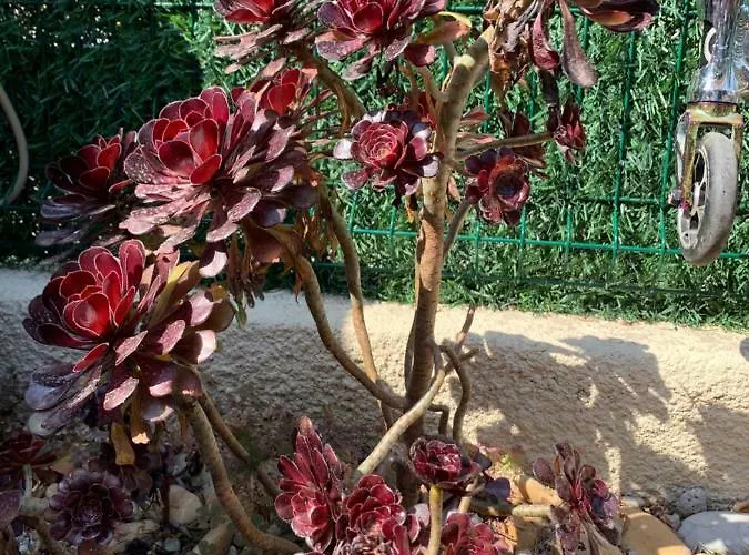 בית נופש Maison De