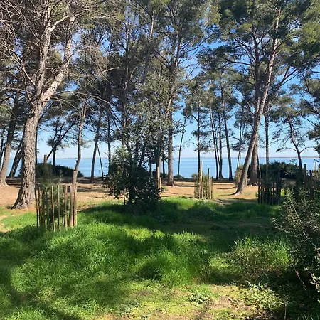 Maison De Frontignan